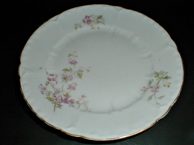 Carl Tielsch CT Altwasser Silesia Germany #4349 Pink Floral Salad Plate (6E)