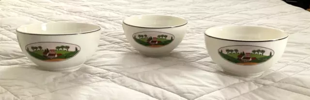 Villeroy & Boch Design Naif Rice Bowl  Set of Three.  5.5 in.diameter FREE SHIP!