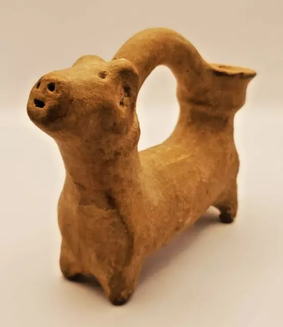 Original Nayarit Dog Effigy Vessel 300 BC - 300 AD