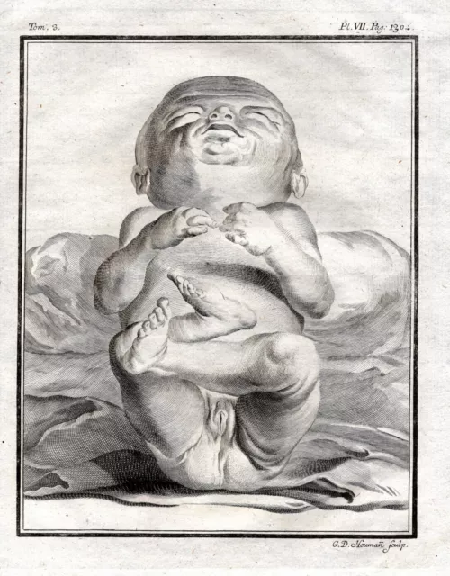 newborn baby Neugeborenes child Baby Kupferstich engraving Buffon 1780