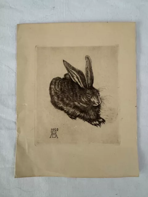 Radierung Albrecht Dürer Hase Feldhase Der Hase 1948 als Brief