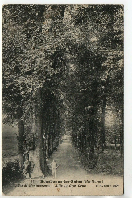 BOURBONNE LES BAINS - Haute Marne - CPA 52 - Parc de Montmorency - l'Orme giant