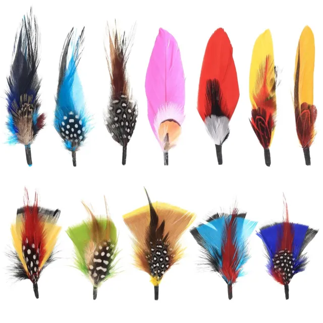 Hat Feathers, 12 Pcs Natural Feathers, Mixed Assorted Cowboy Hats Feathers,