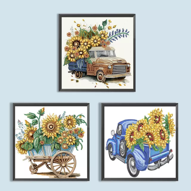 5D DIY Partial Special Shaped Drill Diamond Painting Flower Car Kit Home Decor