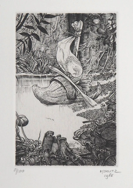 洋書 MOHLITZ DESSINS s-l1200.jpg