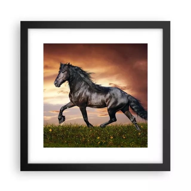 Affiche Poster 30x30cm Tableaux Image Photo Cheval animal Meadow Wall Art