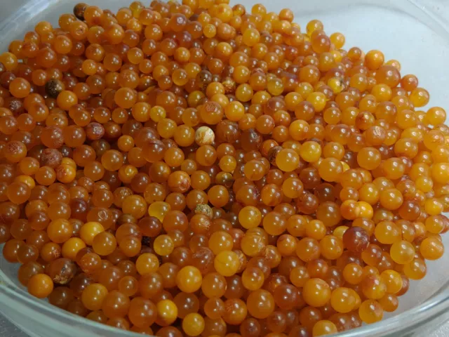 Wholesale Egg Yolk Butterscotch Natural Baltic Amber Round beads 6-9mm琥珀色 كهرمان