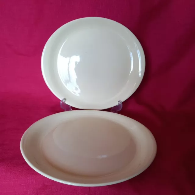 PAIR OF VINTAGE 1940s WOODS WARE 'JASMINE' OVAL DINNER PLATES