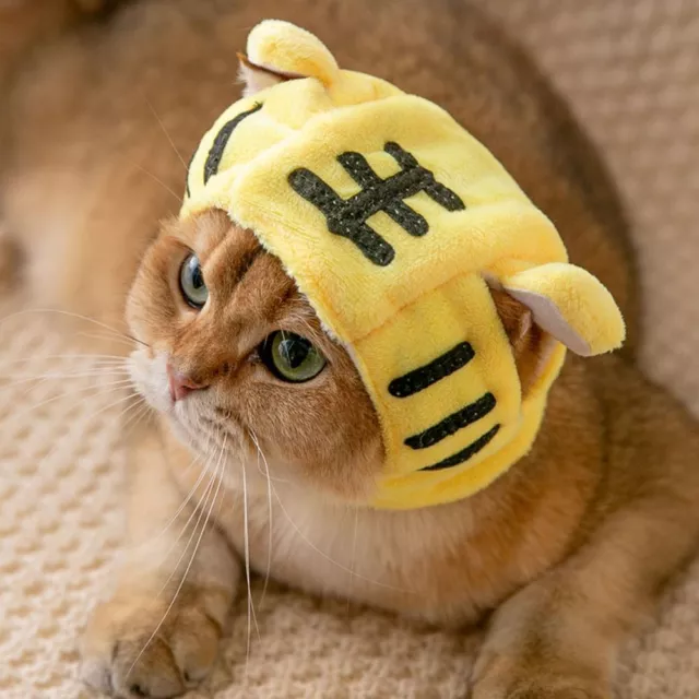 Photograph Props Pet Decor Dress Up Pet Headwear Pet Cap Dog Costume Cat Hat