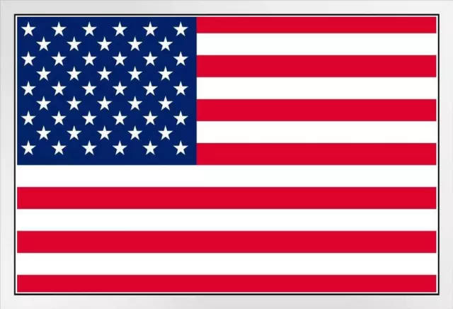 United States of America USA American Flag White Wood Framed Poster 20x14