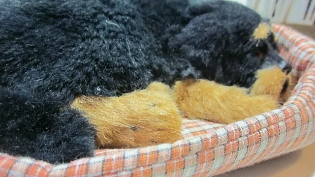 Realistic Life Size Cute Sleeping Puppy Soft Fur Excellent Condition. 3