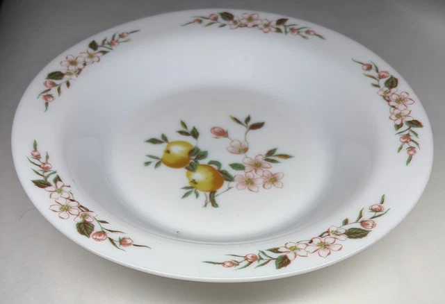 5 Assiettes à Dessert Arcopal France - Décor Floral Opalescent, Vintage