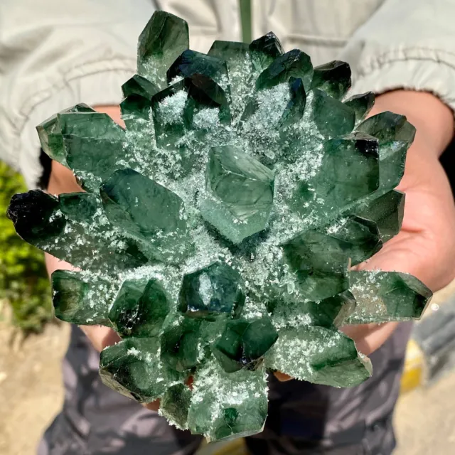 2.8LB New Find Green Phantom Quartz Crystal Cluster Mineral Specimen Healing