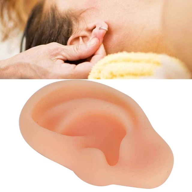 Simulated Ear Model Acupuncture Practice Massage Teaching Tool(Left ) FS1