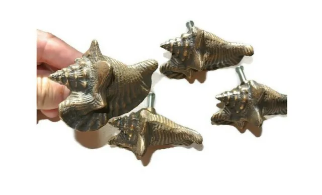 4 small SHELL FISH solid 100% BRASS knobs TROPICAL VINTAGE old style 75 mm B