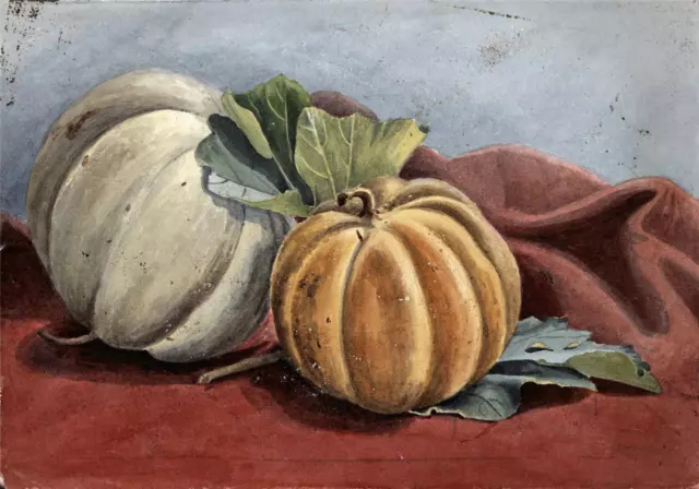 Melons Still Life Study - Antique Watercolour Painting - 1891 - 19th Century