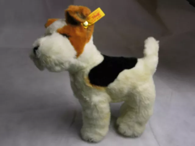 Steiff Hund Terrier Fox Terrier Foxterrier 22 cm h. neuw. + Fahne Art. 079535 2