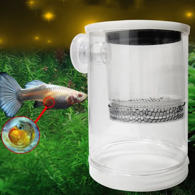 Aquarium Fish Tank Breeding Breeder Rearing Box Hatchery Isolation Case Small
