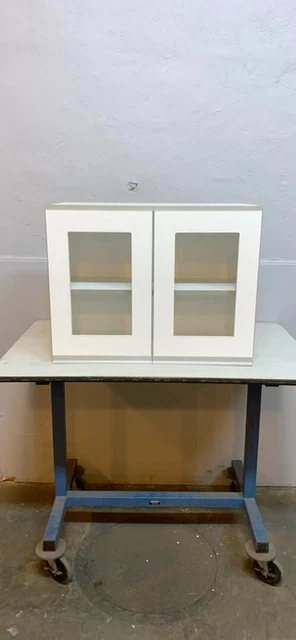 Overhead Cabinet Chem Resistant 30x13x23 Chemsurf Laminate