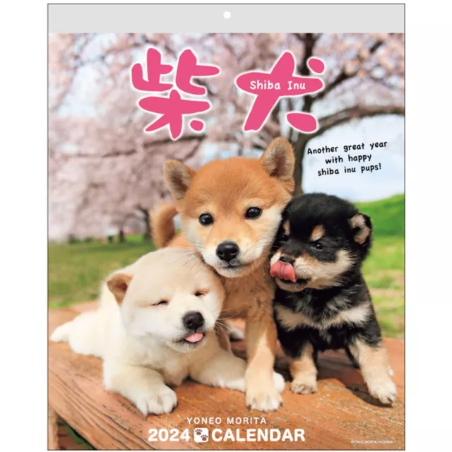 SHIBA INU WALL Calendar 2024 with Cute Shiba Dog Puppy Pictures US