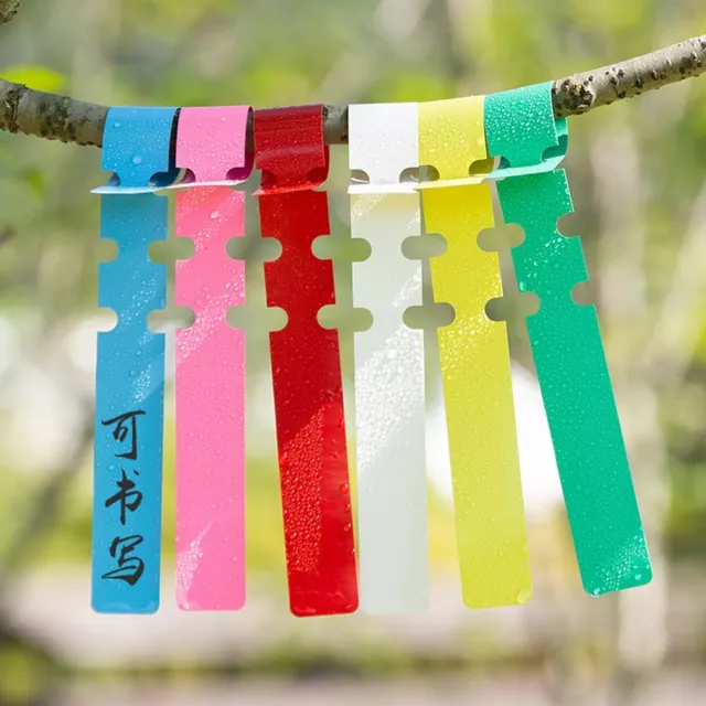 Keep Your Garden Neat and Tidy with 100 Waterproof PVC Plant Markers 6 Colors