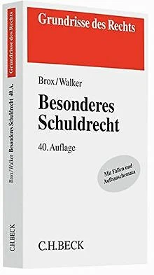 Besonderes Schuldrecht (Grundrisse des Rechts) von Brox,... | Buch | Zustand gut