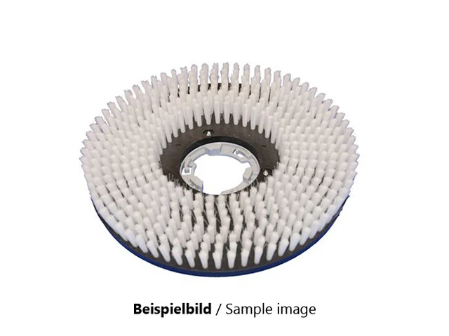 Brosse à Récurer Pour Béton Lavant Hako Hakomatic B45-430 - Poly 0,5 - Neuf