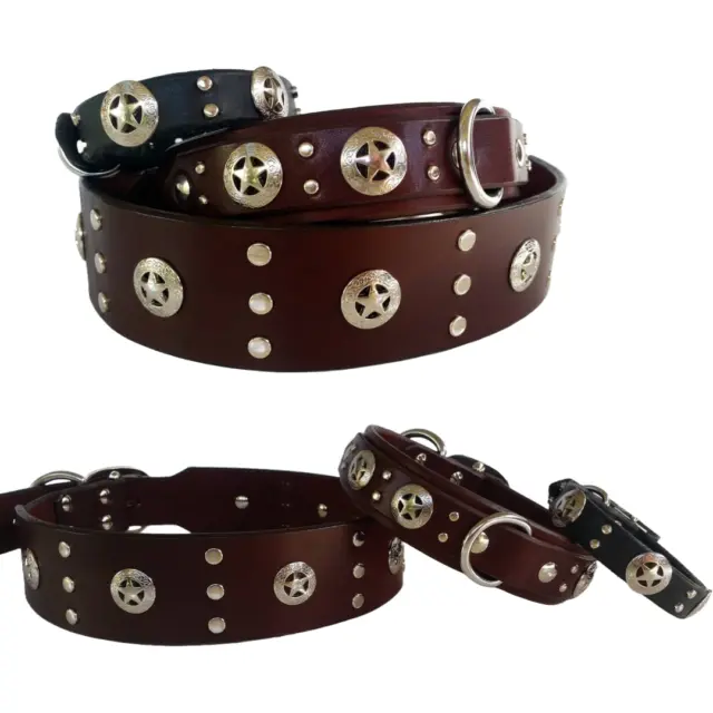 Collar de perro de cuero premium tachonado con estrellas y cristales el día...