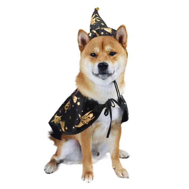 Cane Gatto Mantello Cappello Cucciolo Gattino Costumi di Halloween Poncho