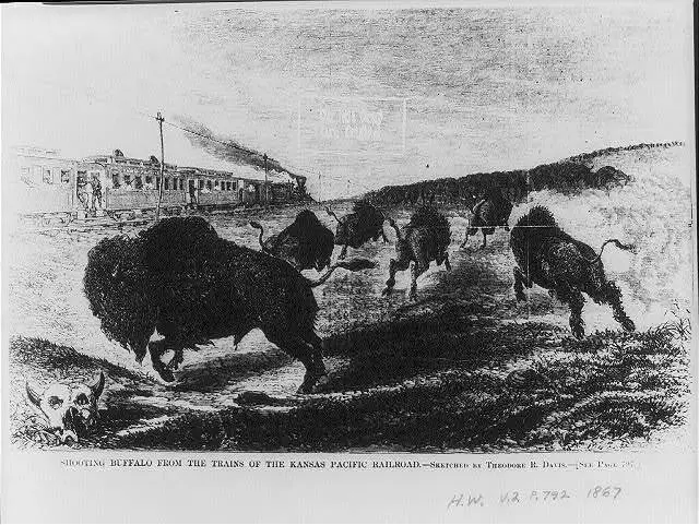 Shooting buffalo from the trains of the Kansas Pacific Railroad,1867,Bison