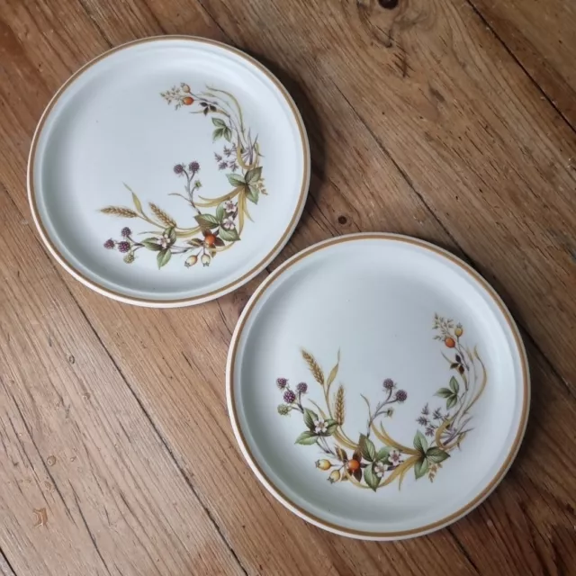 M&S Marks & Spencer Harvest 6.5" Side Plates St Michael X2 Excellent