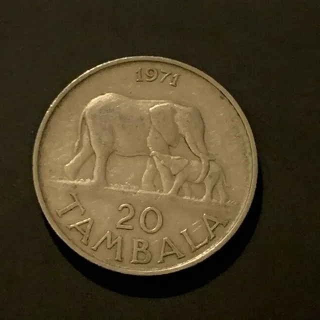 1971 Malawi 20 Tambala Coin - SCARCE - FREE P&P