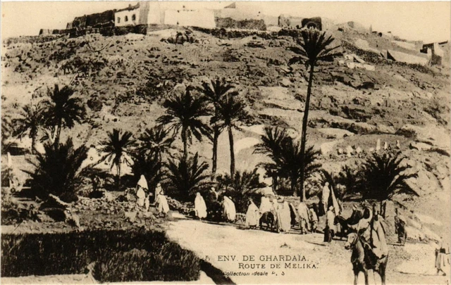 CPA AK Env. from Ghardaia - Melika Road ALGERIA (794782)