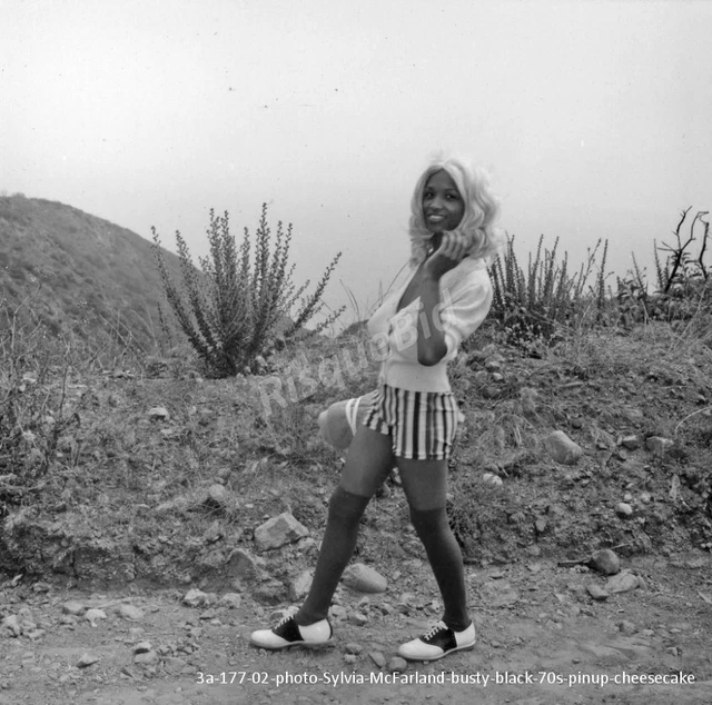 C073A177 02 PHOTO Sylvia McFarland busty black 70s pinup cheesecake ORIGINAL 10.95 PicClick