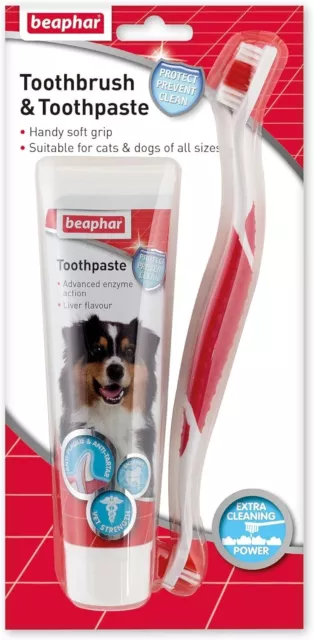Beaphar | Toothbrush & Toothpaste Dental Care Kit | For Dogs & Cats | Includes