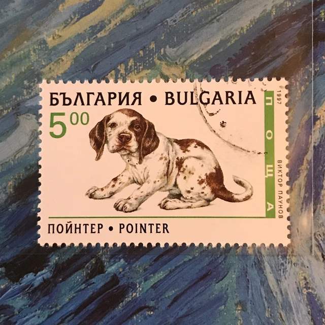 German Pointer Puppy Dog Stamp Dogs Collectible Dog25