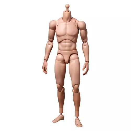 Truetype Basic Caucasian Male Regular Body Ver. 1/6scale Action Figure Hot Toys