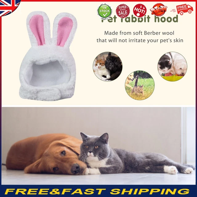 Cappello orecchio di coniglio gatti oggetto fotografico animali domestici cuccioli copricapo regalo forniture per feste