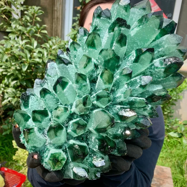 31.24LB   New Find Green Phantom Quartz Crystal Cluster Mineral Specimen Healing 5