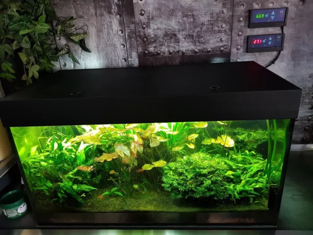 Aquarium komplett * Biobecken 250 Liter * Vollautomatisch
