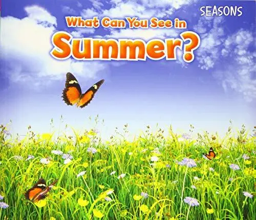 What Can You See In Summer? (Seasons), Sian Smith