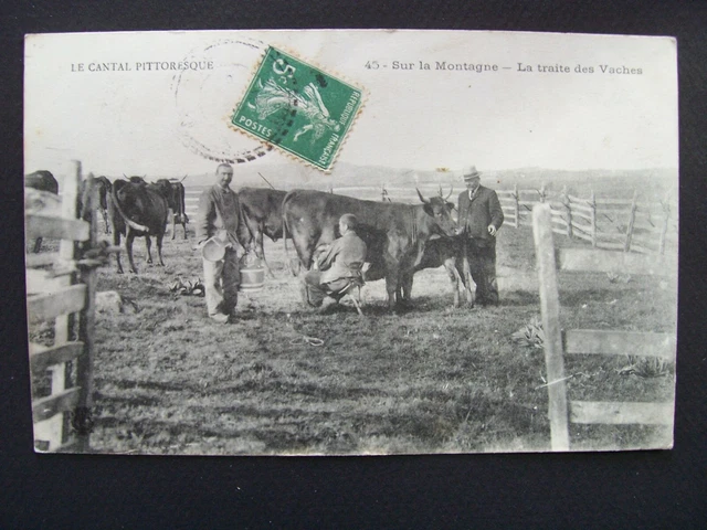 CPA  -  Le Cantal Pittoresque  -  Sur la Montagne  -  La Traite des Vaches