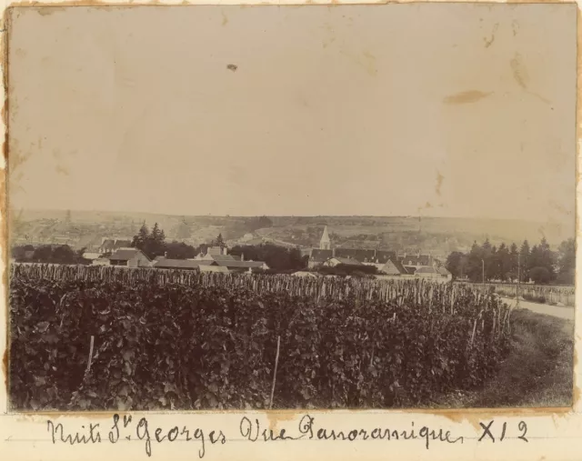 Nuits-Saint-Georges (Côte-d'Or). Panoramic view. The vines. Circa 1900.