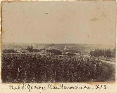 Nuits-saint-georges (Côte-d' or). panoramic sight. the vines. circa 1900.