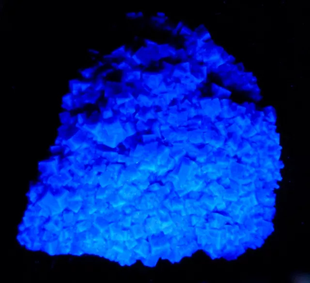 Large Plate Of Fluorite Crystals - Newlandside Quarry, Weardale, Uk 3