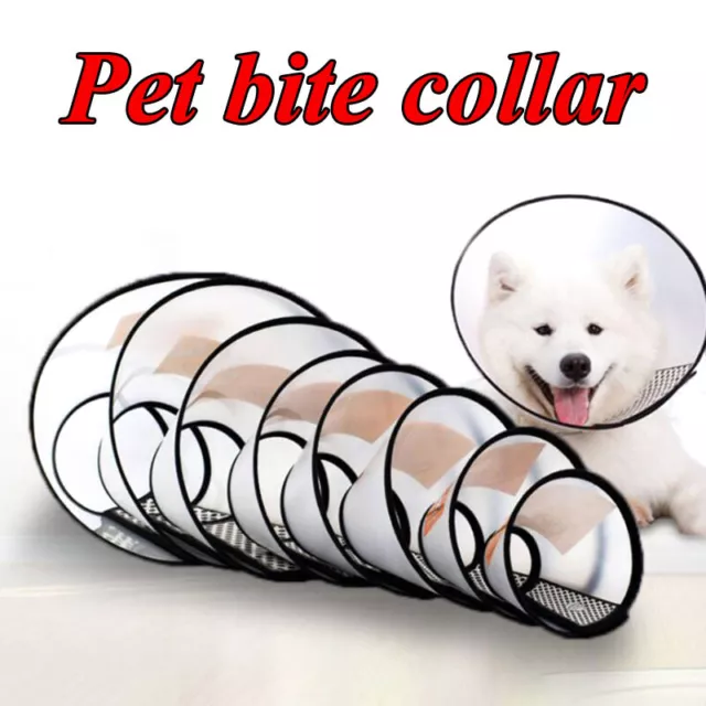 Pet Protective Collar Dog Cat Anti-lick Cone Wound Healing Recovery 6 Sizes ✧ )