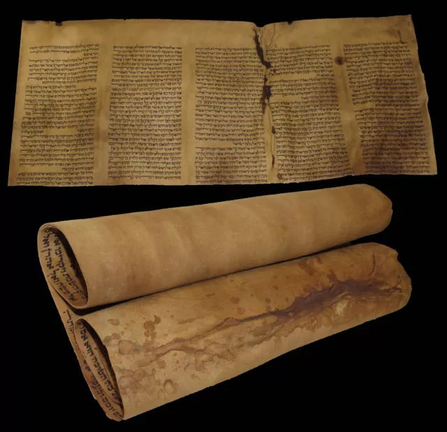 TORAH SCROLL BIBLE VELLUM MANUSCRIPT FRAGMENT 250 YRS OLD SYRIA Numbers  11 - 15