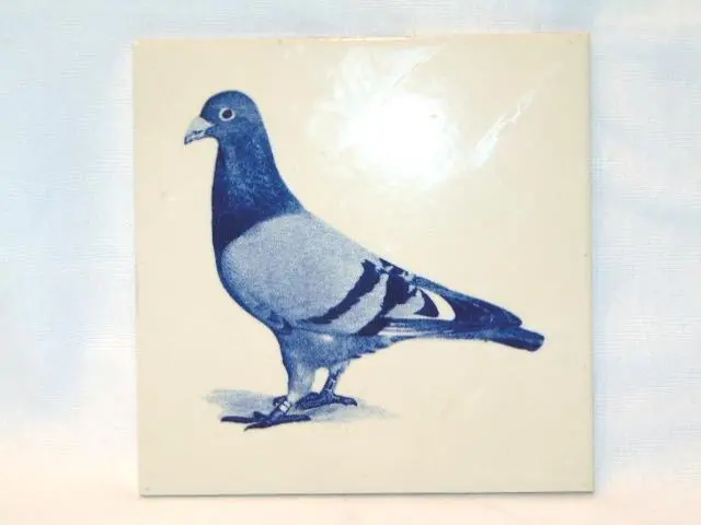Vintage Dutch Delft Tile Hand Painted, PIGEON BIRD, MOSA HOLLAND