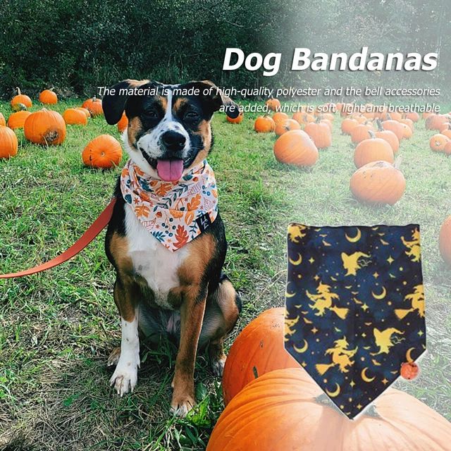 FR Halloween Dog Slobber Scarf Pumpkin Pet Towel for Puppy Kitten (Wizard)