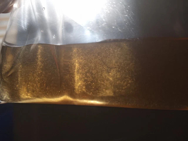 VINEGAR EEL STARTER CULTURES - Live Food for Fry and small fish BUY 1 GET 2 FREE